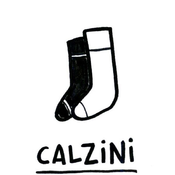 Calzini