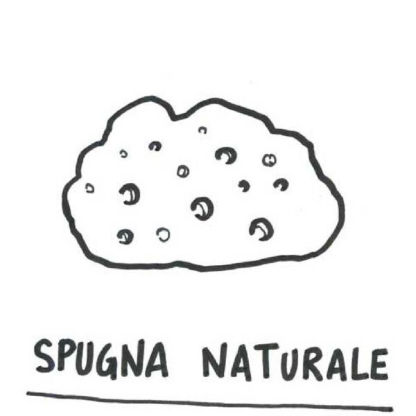 Spugna naturale